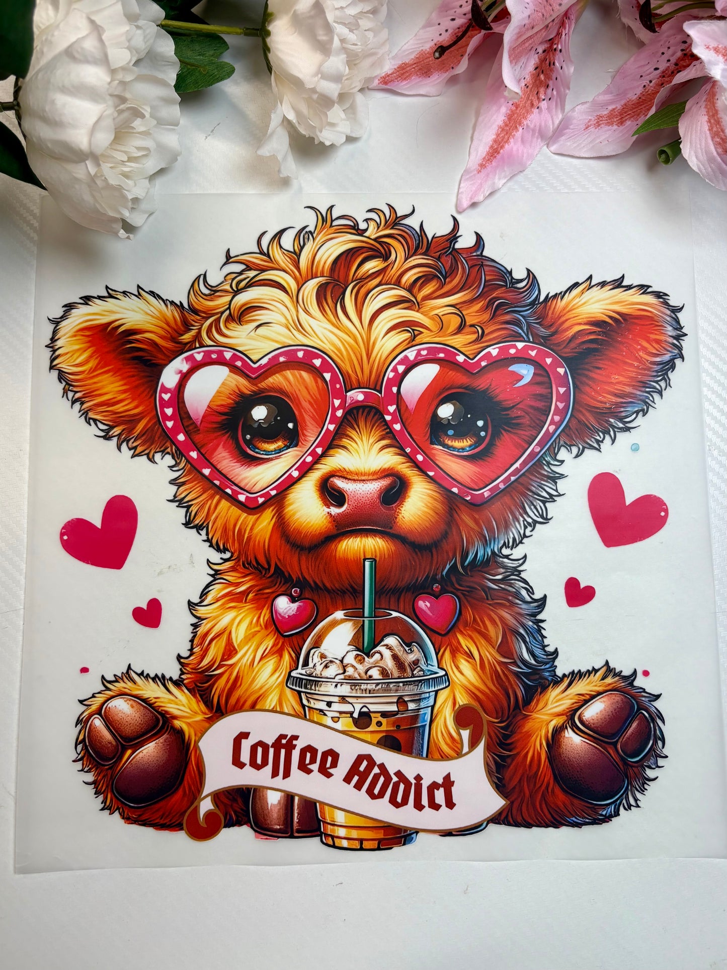 Highland Cow Coffee Addict 11 inch DTF Print
